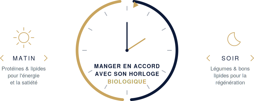Horloge biologique de la méthode Keto Chrono-Minceur : protéines et lipides le matin, légumes et bons lipides le soir.